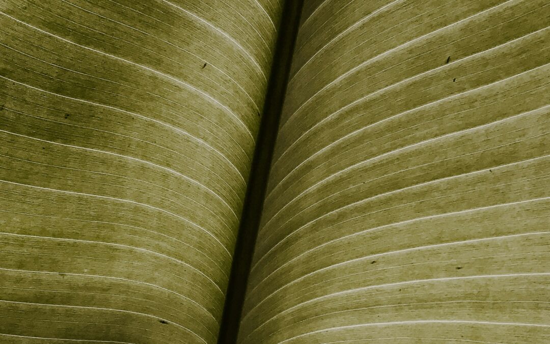 You’re Wasting Genius: What Happens When Leaders Ignore Neurodivergent Brains